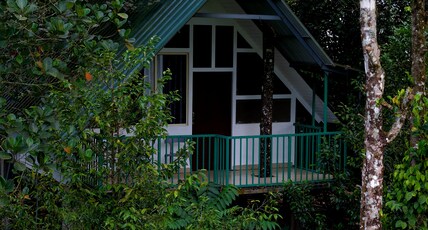 Mithra Munnar Treehouse and Rooms Room Type - Mithra Mountain View A-Frame