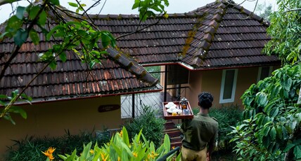 After the Rains - Rainforest Lodge Room Type - LILIKOI