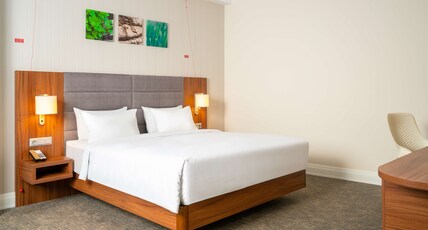 Hilton Garden Inn Bucharest Old Town Room Type - KING ACCESSIBLE ROOM