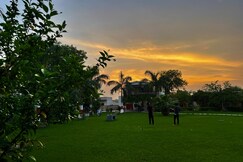 Royal Palm Farmhouse