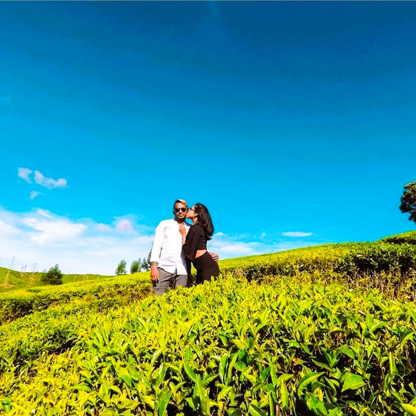 The Tea Garden - Tap to explore photos