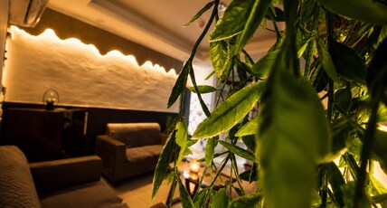 THE COZY NOOK by Aman D Host Room Type - THE COZY NOOK by Aman D Host THE COZY NOOK by Aman D Host Room Type - THE COZY NOOK by Aman D Host