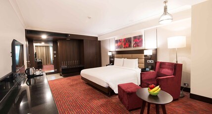 Hilton Garden Inn New Delhi Saket Room Type - Executive Suite with Bathtub