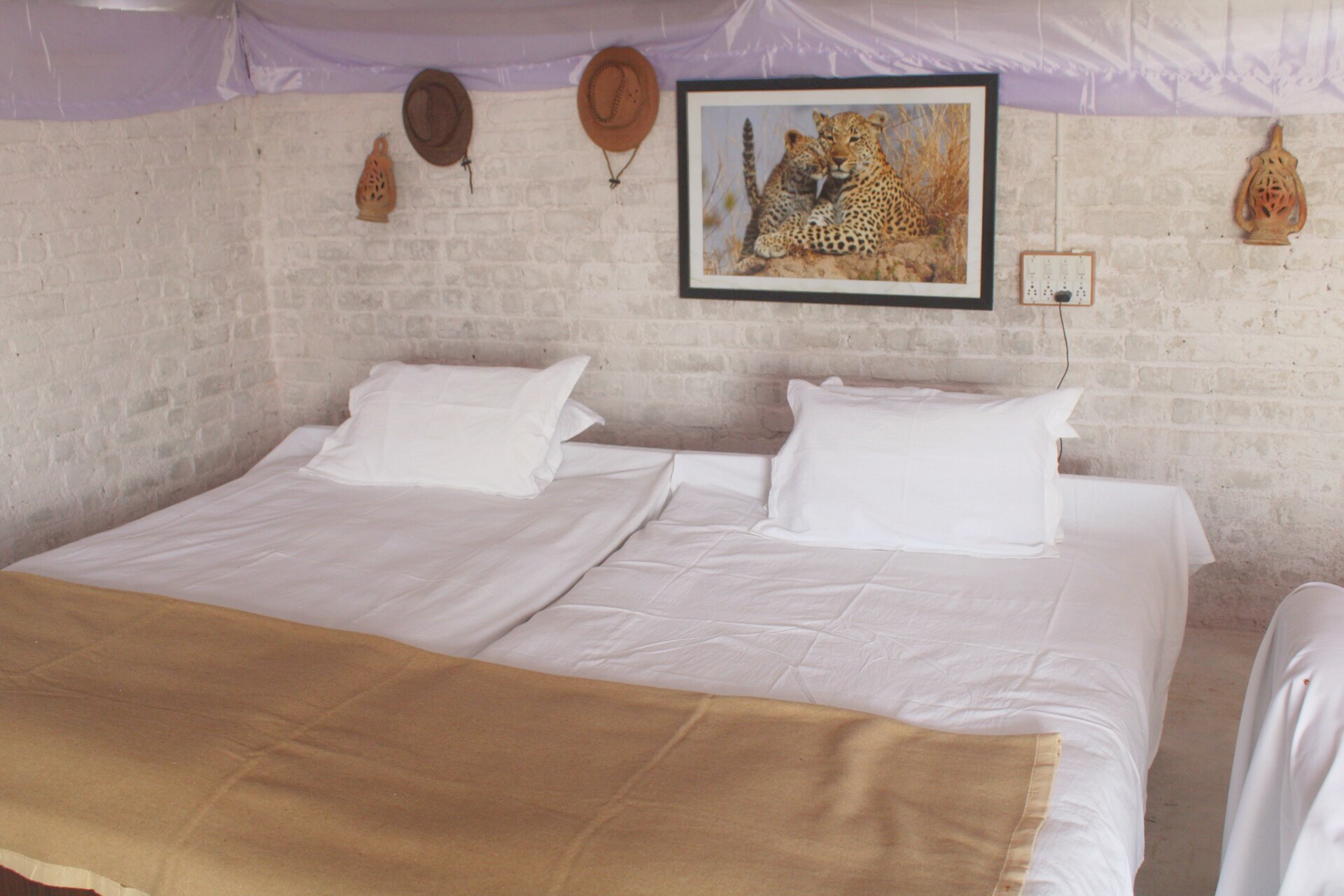 DSG SAFARI CAMP Jawai - Tap to explore photos