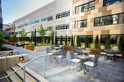 Staybridge Suites Seattle - South Lake Union