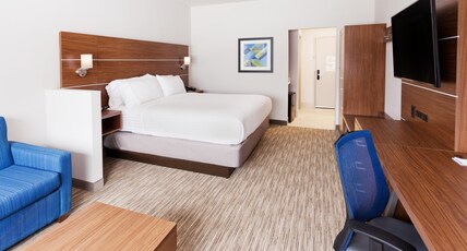 Holiday Inn Express & Suites - Cartersville Room Type - 1 King Suite
