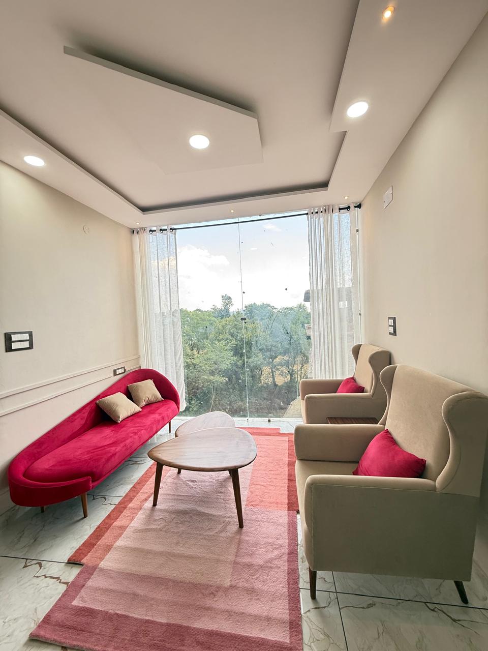 YELLOW BIR - Tap to explore photos