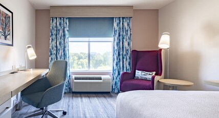 Hilton Garden Inn Albany Room Type - 1 KING BED