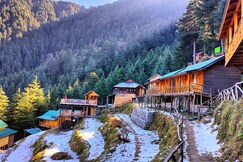 Mid Conifer | Resort & Cottages