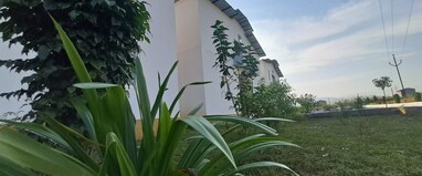 Valley Springs Resorts