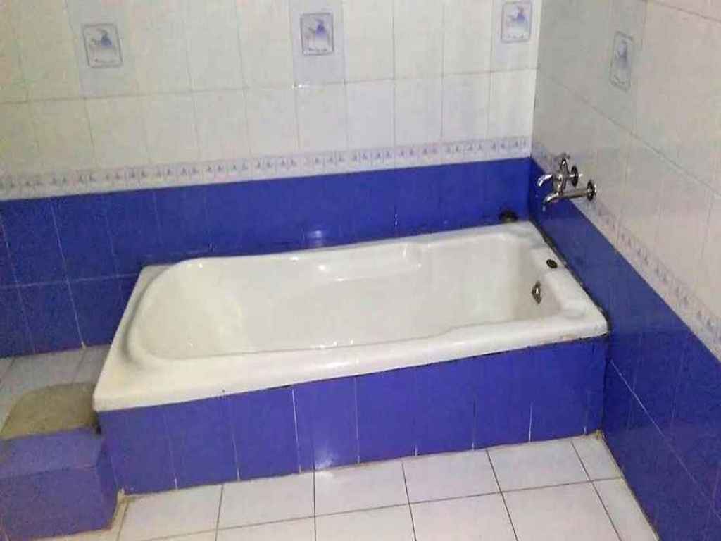 Mockingbird - Tap to explore photos