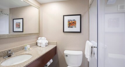 Holiday Inn Cincinnati-Riverfront, an IHG Hotel Room Type - 1 King Bed Standard