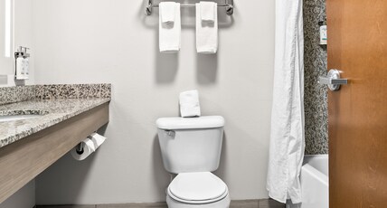 Holiday Inn Express Hotel & Suites - Novi Room Type - 2 Queen Standard