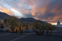The Postcard in the Himalayan Willows , Stok, Leh