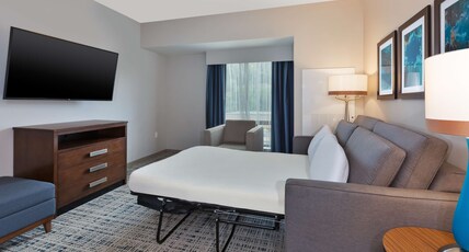 Homewood Suites by Hilton Pittsburgh Downtown Room Type - 2QN HEARING ACC SUITE NS
