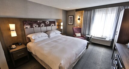 DoubleTree by Hilton Atlanta - Alpharetta Room Type - 1 KING BED NON SMOKING