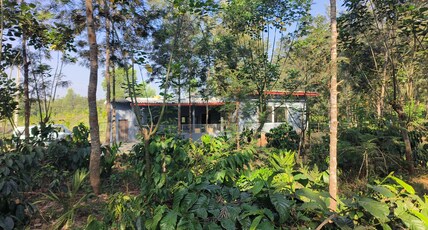 Moogli Homestay Room Type - Moogli Homestay
