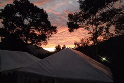 Nature's Nest Resort & cafe