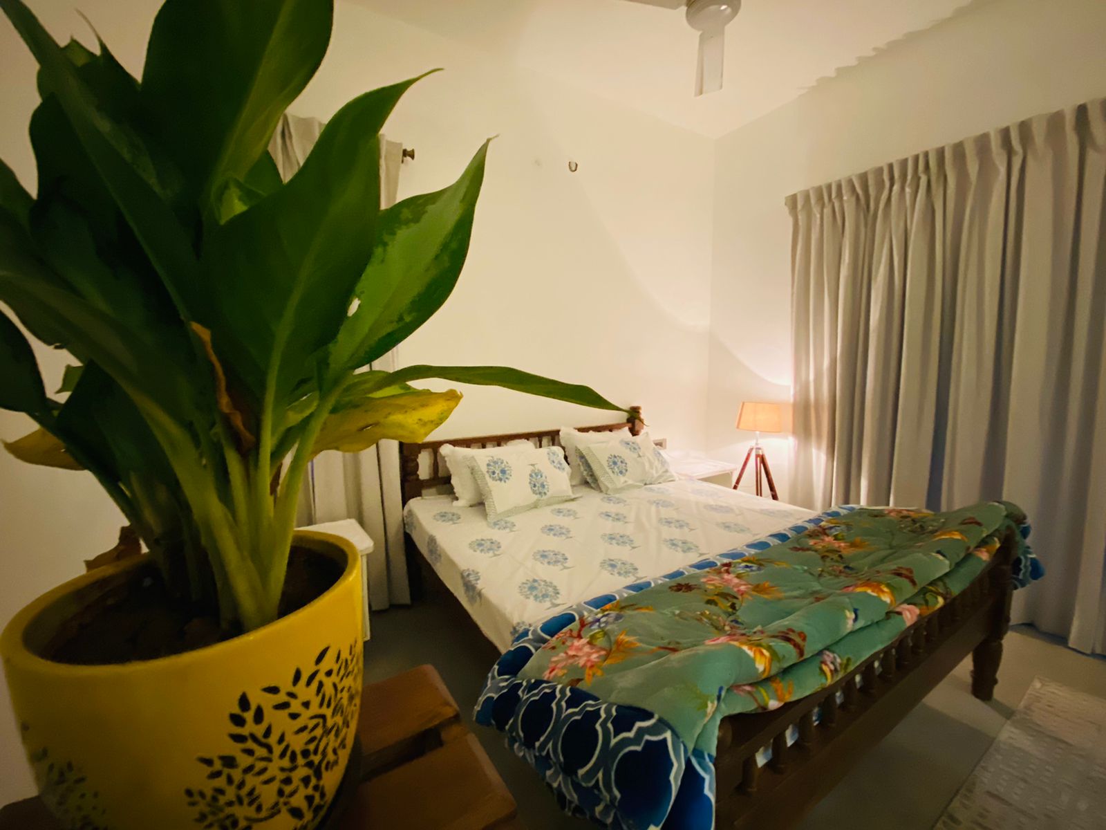 Ohana Homestay - Tap to explore photos