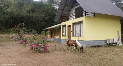 APKA ECOVILLAGE Room Type - Jungle Villa
