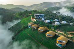 Monticle Glamps | Best Luxury Glamps in Vagamon