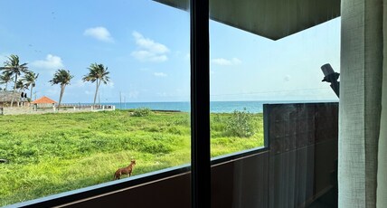 Casa Maya Room Type - Room No 4 Executive Sea View Room