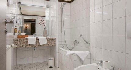 Best Western Hotel Mainz Room Type - 1 Queen Bed, Comfort, Spacious Room, Free Wlan, Flat Screen Television, Tea And Coffee Making Facili