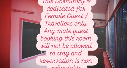 Lost Paradise A Social Hostel Room Type - Female Pink Dorm