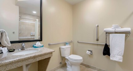 Best Western Plus Grapevine Inn Room Type - Accessible - 1 King, Mobility Accessible, Roll In Shower, High Speed Internet Access, Non-Smoking, F Best Western Plus Grapevine Inn Room Type - Accessible - 1 King, Mobility Accessible, Roll In Shower, High Speed Internet Access, Non-Smoking, F