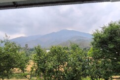 Photos of TOUCH WOOD GUEST HOUSE