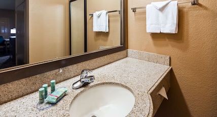 Best Western Executive Inn El Campo Room Type - 1 King Bed, Non-Smoking, Television 25 Inch, Microwave And Refrigerator, Iron And Ironing Board, Hai