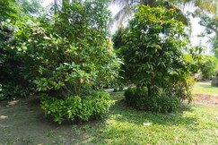 JAIRAM ECO VILLA || Entire 2BHK Villa