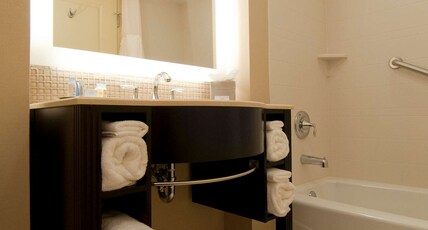 DoubleTree by Hilton Sterling - Dulles Airport Room Type - 1KNG MOB HEAR ACC W TUB NS