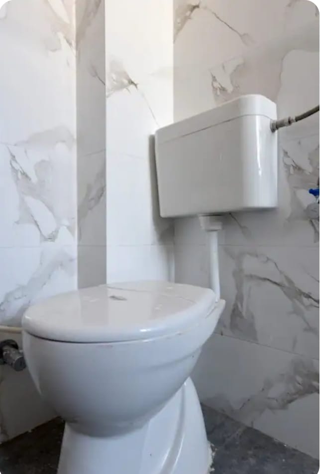 Dgoldendoor - Tap to explore photos