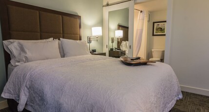 Hampton Inn Winchester-University/ Mall Room Type - 1QN SMALL ROOM W FRIDGE NS