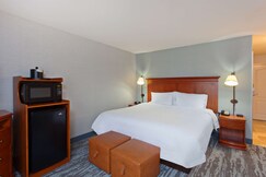 Hampton Inn & Suites by Hilton Clovis-Airport North