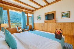 HOTEL VALLEY OF GODS MANALI