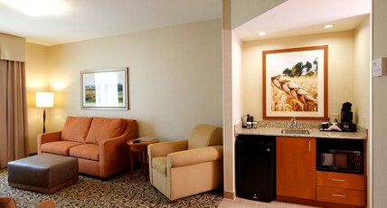 Hilton Garden Inn Cedar Falls Conference Center Room Type - 1KNG BD DLX FIREPLACE STE