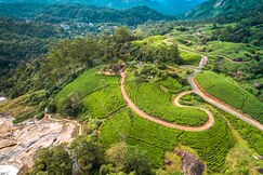 Viriparai British Tea Bungalow Munnar by VOYE HOMES