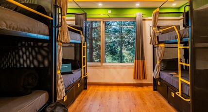 The Hosteller Lansdowne Room Type - Bed in 6 Bed Mixed Dormitory