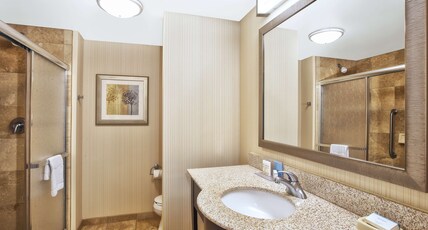 Hampton Inn & Suites Madison - West Room Type - 1 KING STUDIO SUITE NS