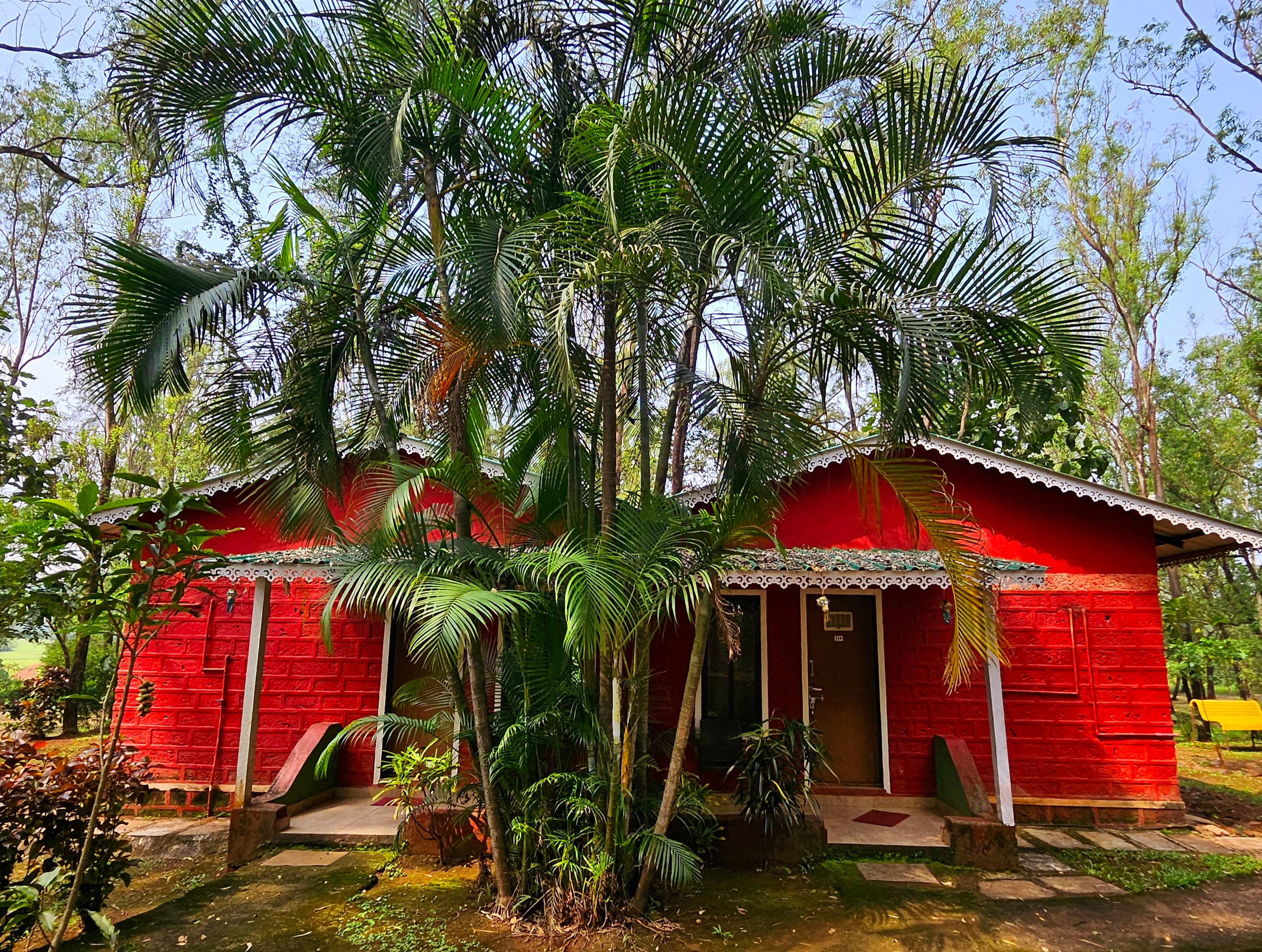 THE JUNGLE RESORT, AMBA - Tap to explore photos