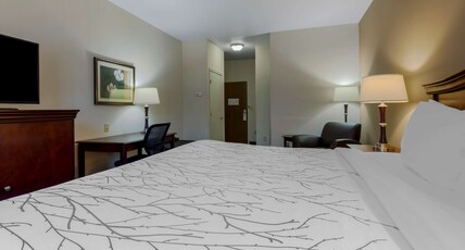 Best Western Plus Sweetwater Inn & Suites Room Type - 1 KING BED,NSMK,WIFI,MICRFG,COFMKR,FULL BREAKFAST