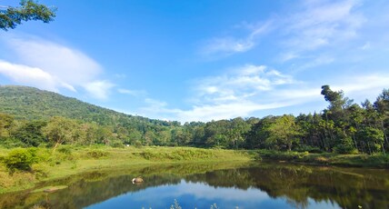 Mathew's Haven By Arattukulam Hospitality Wayanad Room Type - Mathew's Haven By Arattukulam Hospitality Wayanad