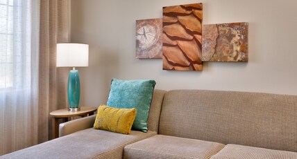 Staybridge Suites - Gainesville I-75 Room Type - 1 King Bed Studio Suite Comm Accessible