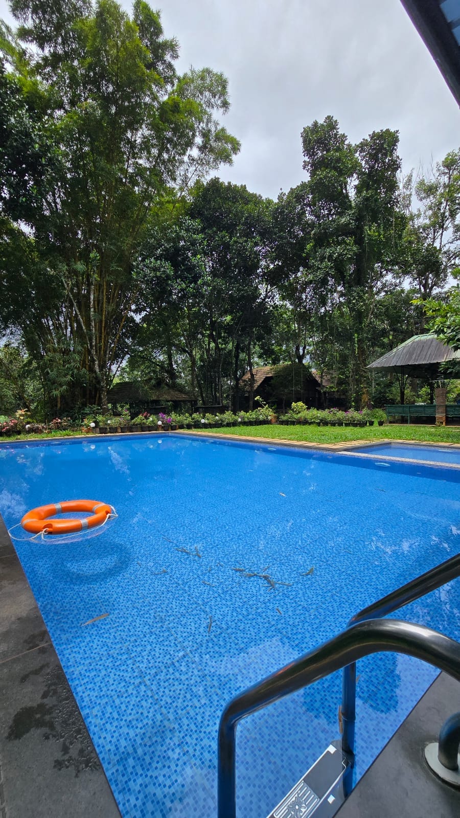 TREE HOUSE WAYANAD Changathi Resorts Pvt Ltd - Tap to explore photos