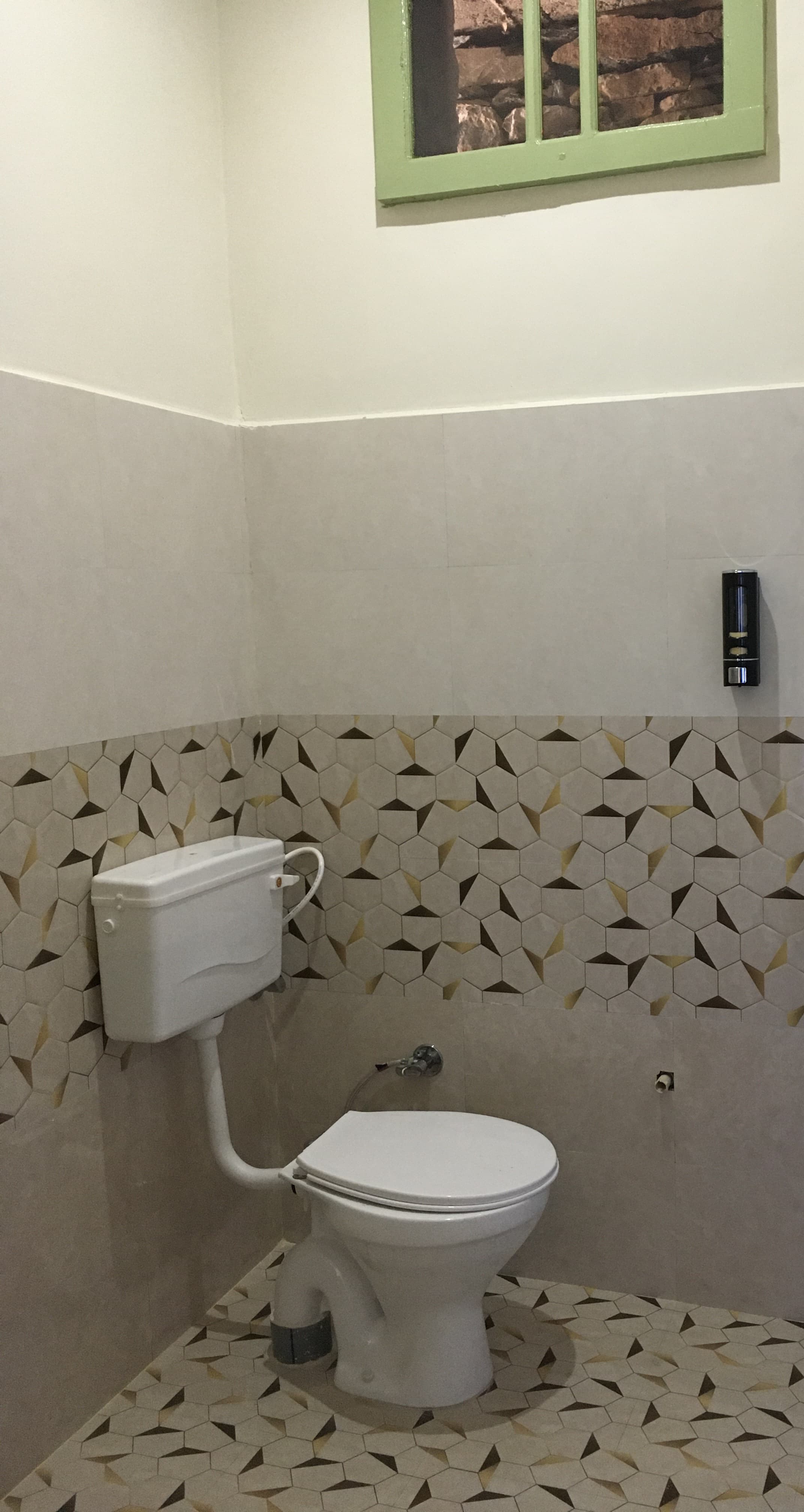 Himalayan Oak - Tap to explore photos