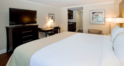 Holiday Inn Macon North, an IHG Hotel Room Type - 1 King Bed Standard