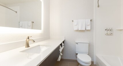 Holiday Inn Express Bellingham, an IHG Hotel Room Type - Standard Room
