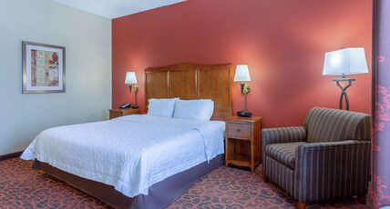 Hampton Inn by Hilton Baltimore/Owings Mills Room Type - 1 KNG HEARING ACC NOSMOK